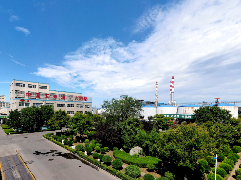 這些屬于長壽花的關鍵詞標簽，你了解嗎