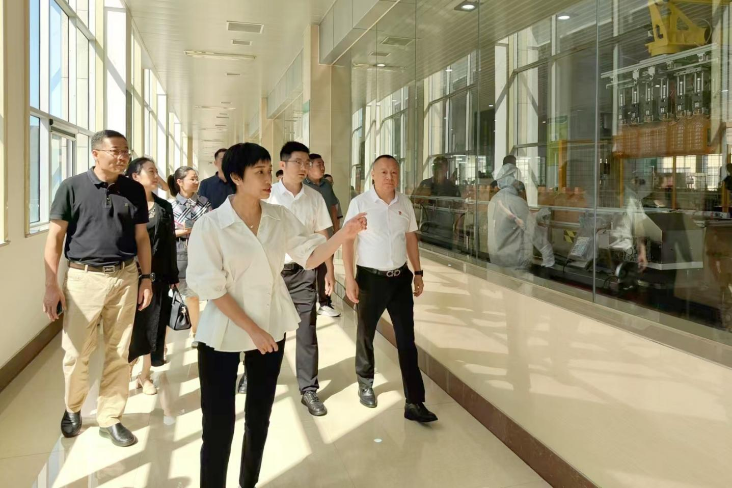 桐廬縣委副書記、縣長(zhǎng)張蕙娜到桐廬玉米產(chǎn)業(yè)公司走訪調(diào)研