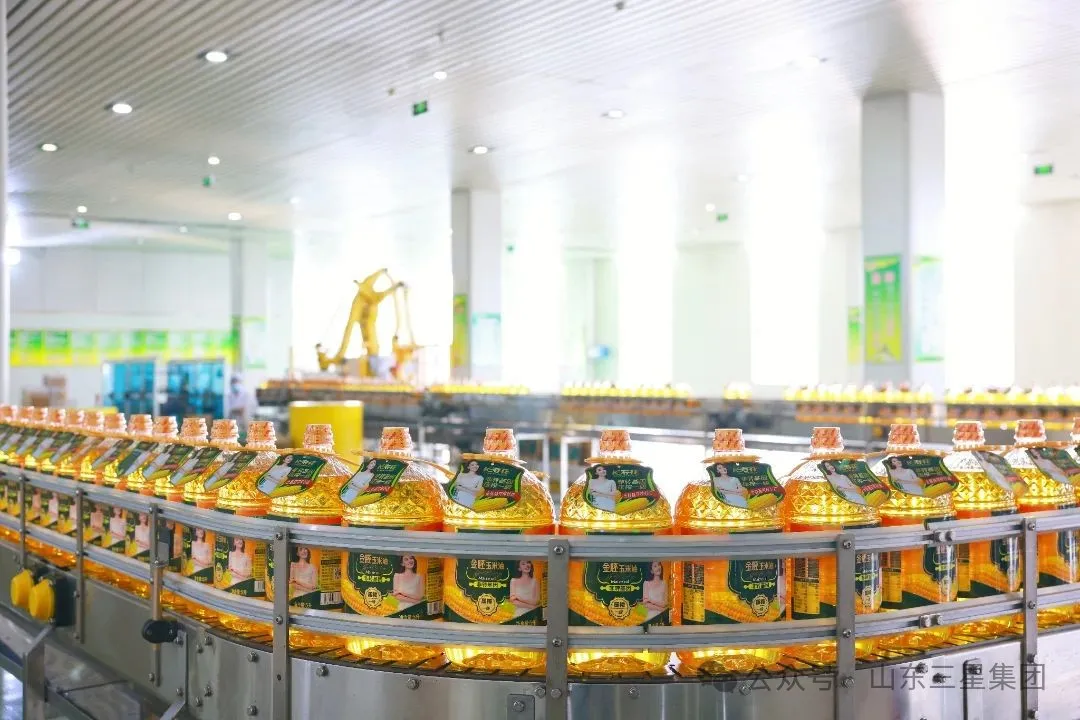 山東三星集團六個項目入選2025年山東?。ǖ谝慌┢髽I(yè)技術創(chuàng)新項目計劃