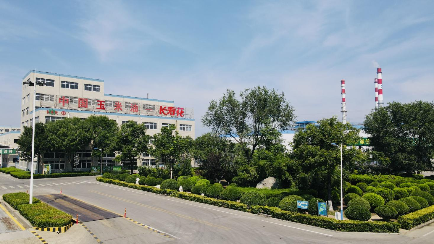 創(chuàng)新驅動 產(chǎn)權護航｜長壽花食品通過知識產(chǎn)權管理體系監(jiān)督審核