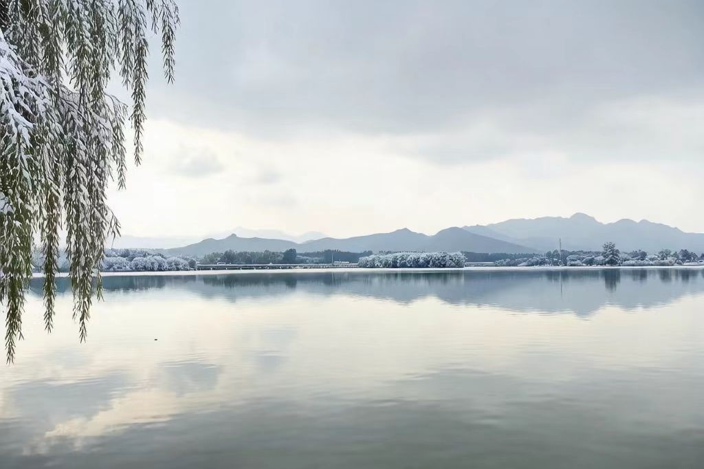 【文韻三星】風(fēng)雪皆有伴