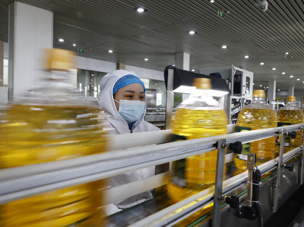 新春啟航干勁足｜山東三星集團全面開工奮進新征程