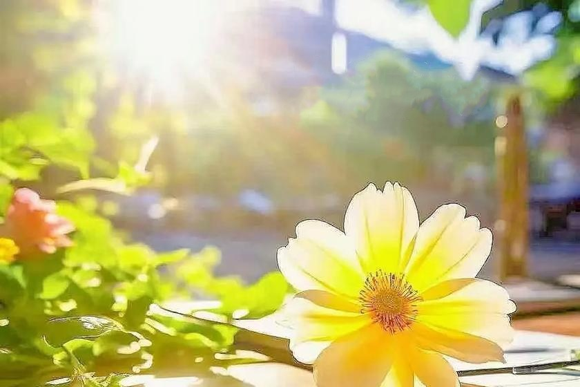 【文韻三星】流淌進時光的美好